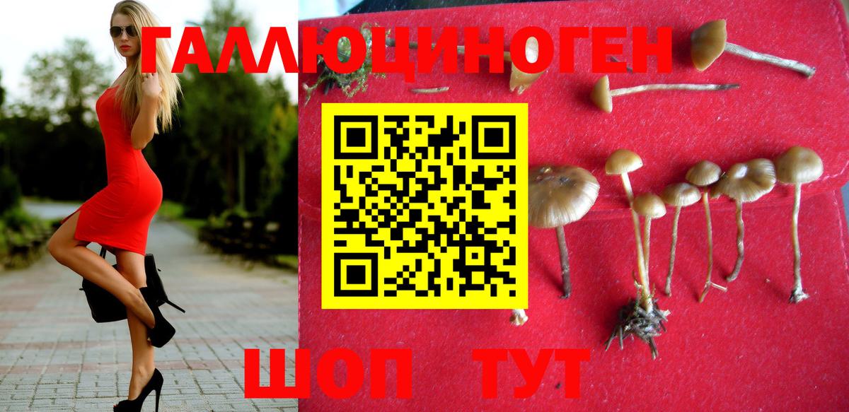 Псилоцибиновые грибы Psilocybe Грязи