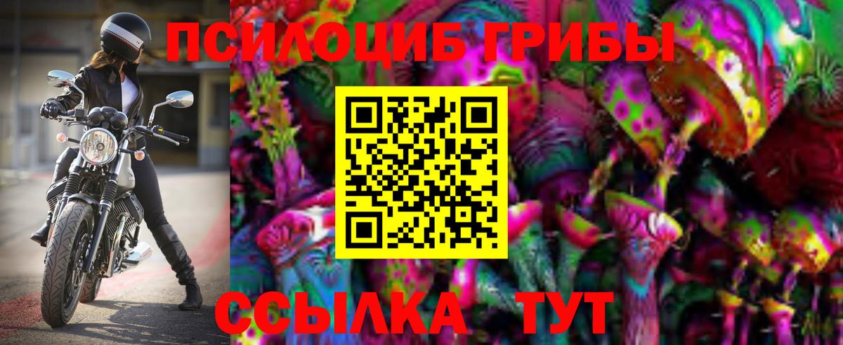 Галлюциногенные грибы Psilocybe  Вход с VPN  Псилоцибиновые грибы Psilocybe  Грязи 